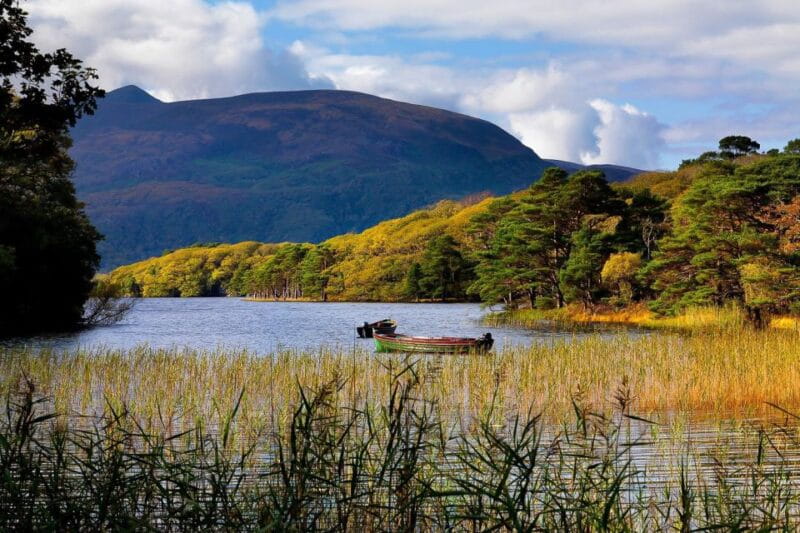 From Killarney: Ring of Kerry Full-Day Tour - Key points / Takeaways