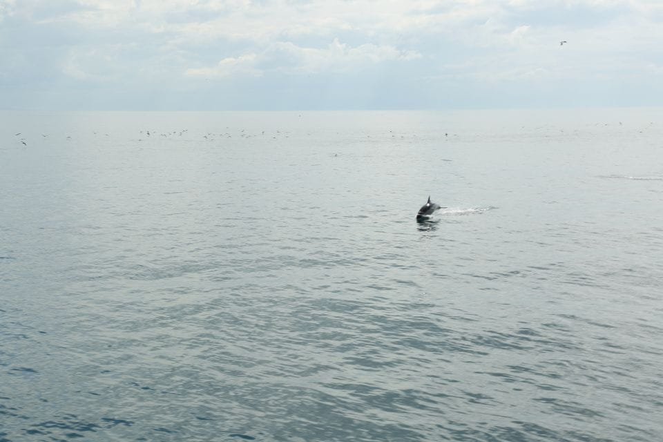 From Killybegs: Sliabh Liag Cliffs Coastal Boat Tour - Boat Amenities