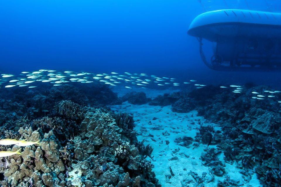 From Kona: Big Island Underwater Submarine Adventure - Health and Safety Protocols