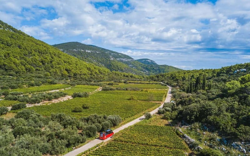 From Korcula Town: Local Wine & Sightseeing Half-Day Tour - Key Points / Takeaways