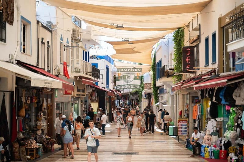 From Kos: Bodrum Day Trip by Ferry with Transfer - Key Points / Takeaways