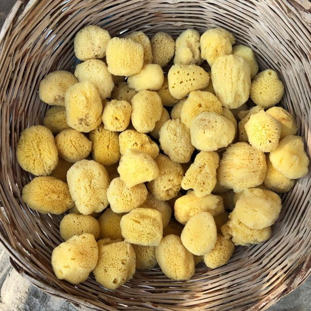 From Kos: Kalymnos Self-Guided Day Trip with Hotel Transfer - Final Thoughts: A Great Balance of Freedom and Convenience