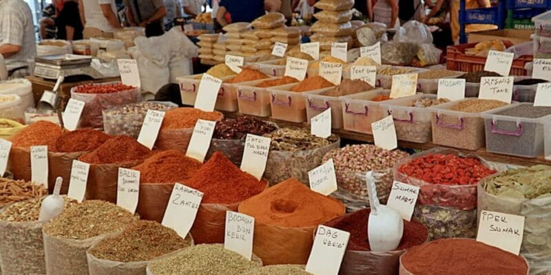 From Kos: Oriental Bus Tour Bodrum w/Roundtrip Ferry&Pickup - Logistical Details and Practical Tips