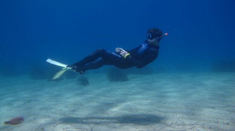 From Kos: Pserimos Island Snorkeling Cruise by Diving Boat - Itinerary Breakdown: What You Can Expect