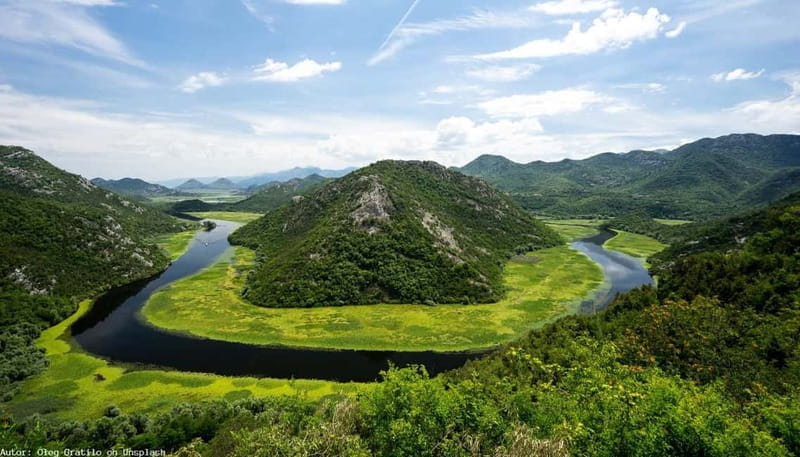 From Kotor, Budva, Tivat: Skadar Lake Boat Tour & Wine - Price and Logistics: A Good Investment