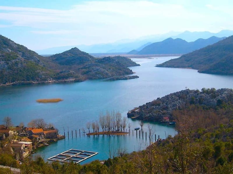 From Kotor, Budva, Tivat: Skadar Lake Boat Tour & Wine - Final Thoughts: An Authentic Montenegrin Experience