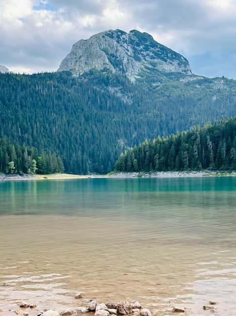 From Kotor: Durmitor National Park and Tara Bridge Day Trip - The Heart-Racing Zip Line Adventure