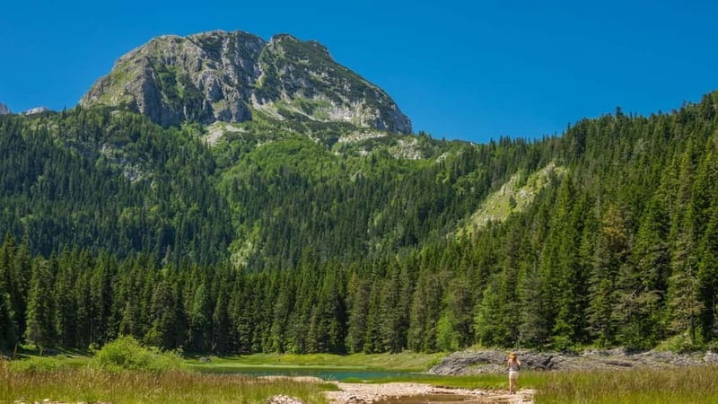 From Kotor: Hiking Day Trip in Durmitor Massif & Dining - Final Thoughts