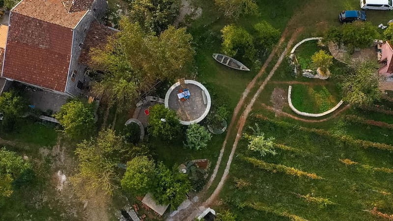 From Kotor: Lake Skadar Wine and Culinary Tour - Price and Value Analysis