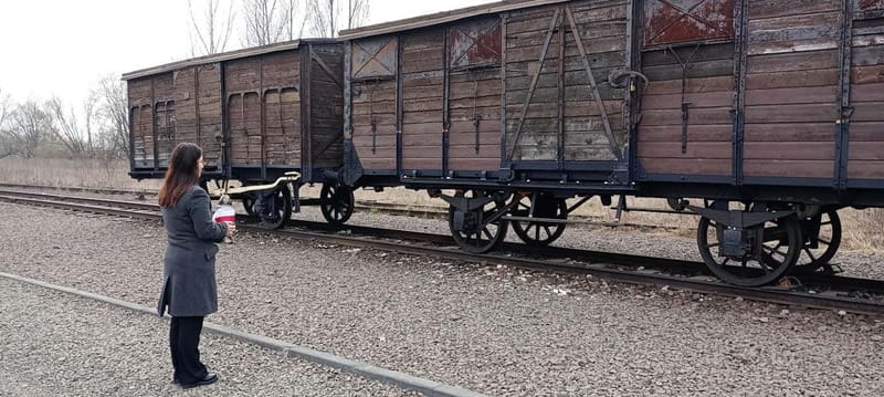 From Kracow: Auschwitz Complex Alternative Tour - An In-Depth Look at the Auschwitz Complex Alternative Tour
