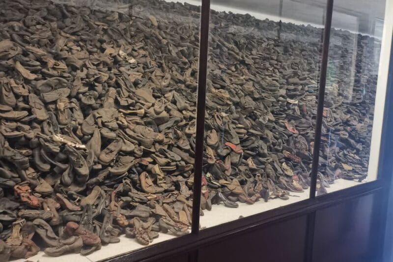 From Krakow: Auschwitz-Birkenau Camp Complex Guided Day Trip - Key Points / Takeaways