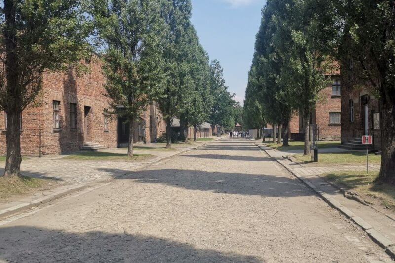 From Krakow: Auschwitz-Birkenau Camp Complex Guided Day Trip - The Value for Your Travel Dollar