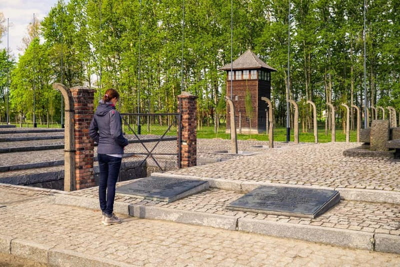 From Krakow: Auschwitz-Birkenau Day Tour with Transportation - Key Points / Takeaways