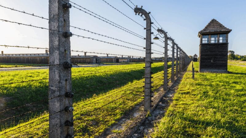 From Krakow: Auschwitz-Birkenau Guided Tour Guaranteed Time - Key points / Takeaways