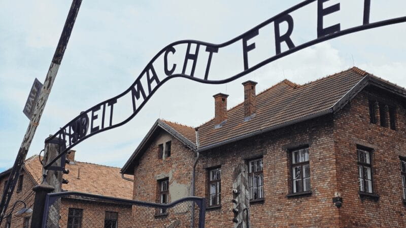 From Krakow: Auschwitz-Birkenau Guided Tour Guaranteed Time - Who Will Love This Tour?