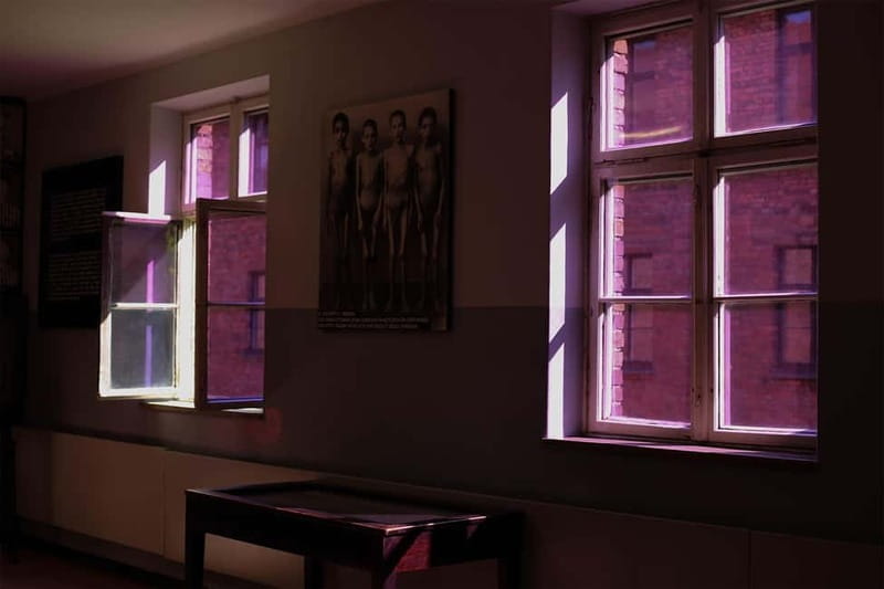 From Krakow: Auschwitz-Birkenau Guided Tour & Pickup Options - The Guides: Knowledgeable and Respectful