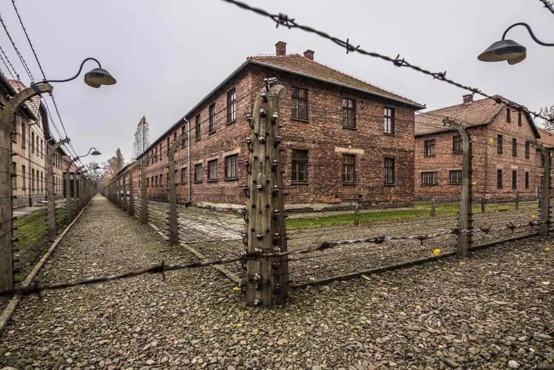 From Krakow: Auschwitz-Birkenau Guided Tour with Transfer - Visiting Auschwitz-Birkenau: What’s Included and What You Should Know