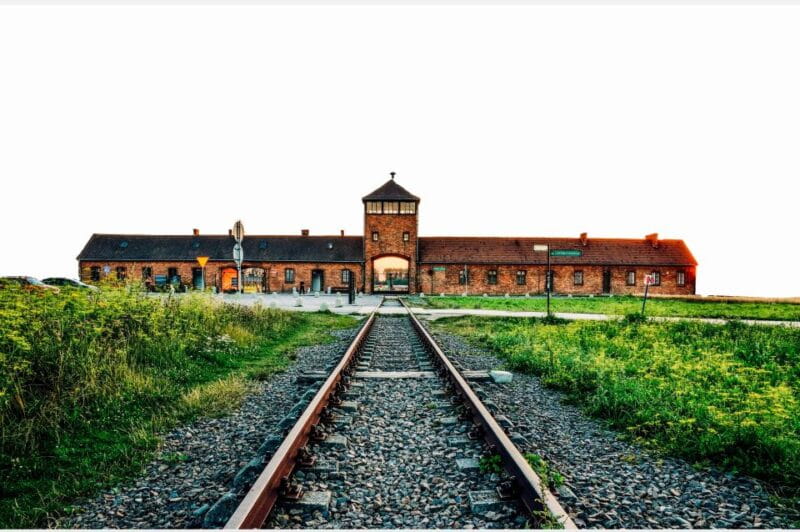 From Krakow: Auschwitz-Birkenau & Schindler's Factory Tour - Who Would Benefit Most from This Tour?