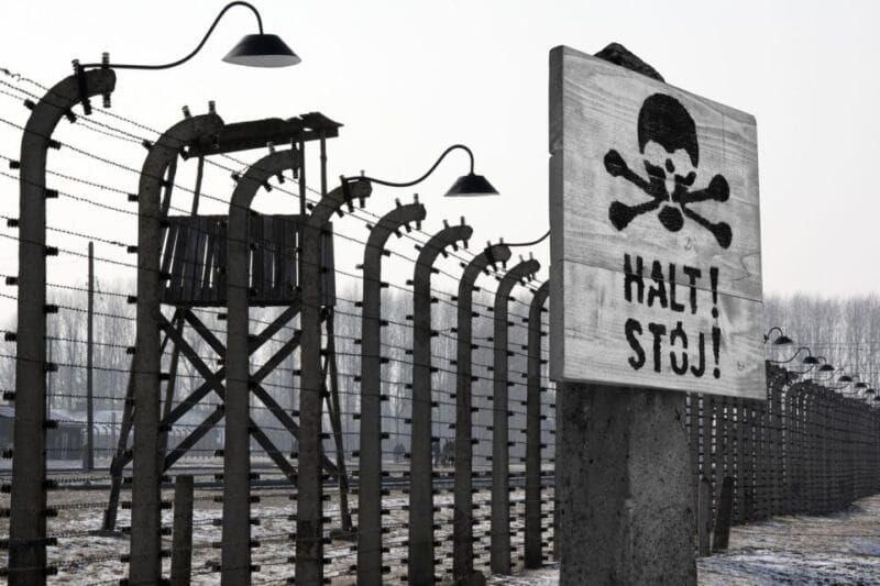 From Krakow: Auschwitz-Birkenau Tour - Who Will Benefit Most?