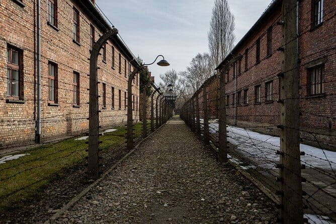 From Kraków: Auschwitz-Birkenau Tour with Lunch Box and Pick Up - Who Would Love This Tour