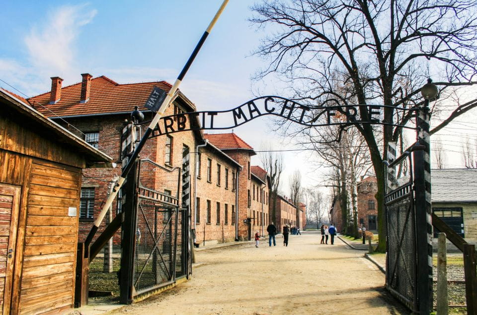 From Krakow: Auschwitz-Birkenau Tour With Transportation - Important Information and Requirements