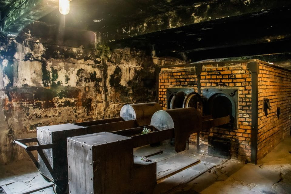 From Krakow: Auschwitz-Birkenau Tour With Transportation - Meeting Point and Departure