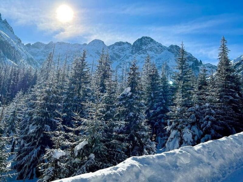 From Krakow: Zakopane Day Trip with Funicular & Food Tasting - Tasting the Region: Cheese and Beverages