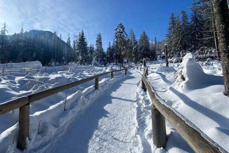 From Krakow: Zakopane Day Trip with Funicular & Food Tasting - Is It Worth It? The Value Analysis