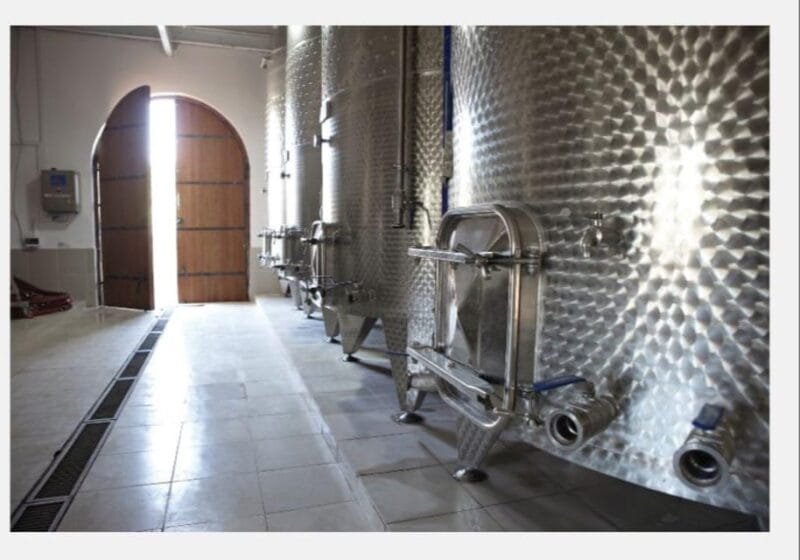 From Kuadas: Private Ephesus and Wine Tasting Tour - Who Will Love This Tour?