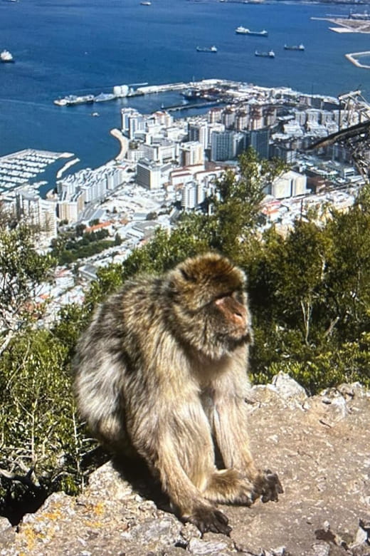 from La Cala/Marbella/Estepona: VIP Gibraltar tour with monkey rock + shopping - Exploring Gibraltars Top Highlights