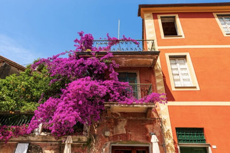 From La Spezia: Highlights of Cinque Terre with A Guide - Food and Authenticity: A Taste of Liguria