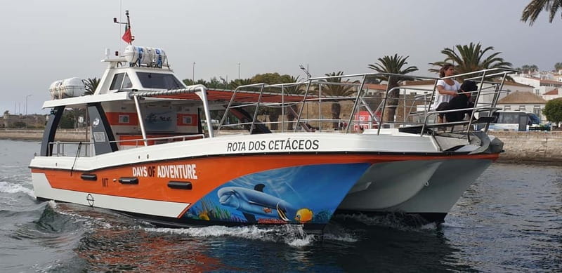 From Lagos: Benagil Caves Catamaran Cruise - Authentic Experiences and Tips