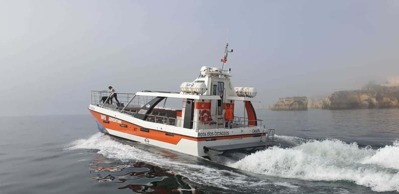 From Lagos: Benagil Caves Catamaran Cruise - The Sum Up