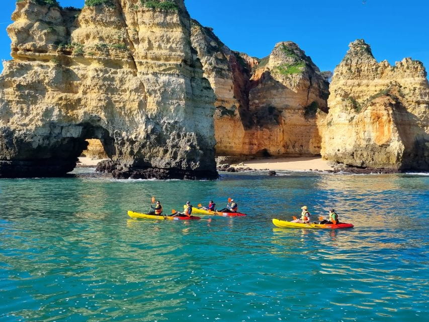 From Lagos: Kayak Experience in Ponta Da Piedade - Inclusions and Requirements