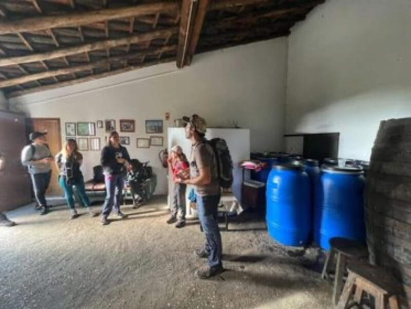 From Lagos: Monchique Private Guided Hike + Medronho Tasting - Who Is This Tour Best For?