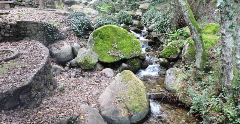 From Lagos: Monchique Private Guided Hike + Medronho Tasting - The Sum Up