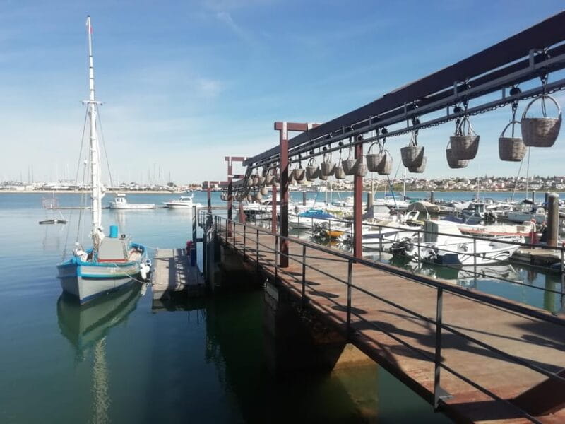 From Lagos: Tinned Sardine Route (Private) - Visiting Conserveira do Arade: A Modern Take on a Tradition