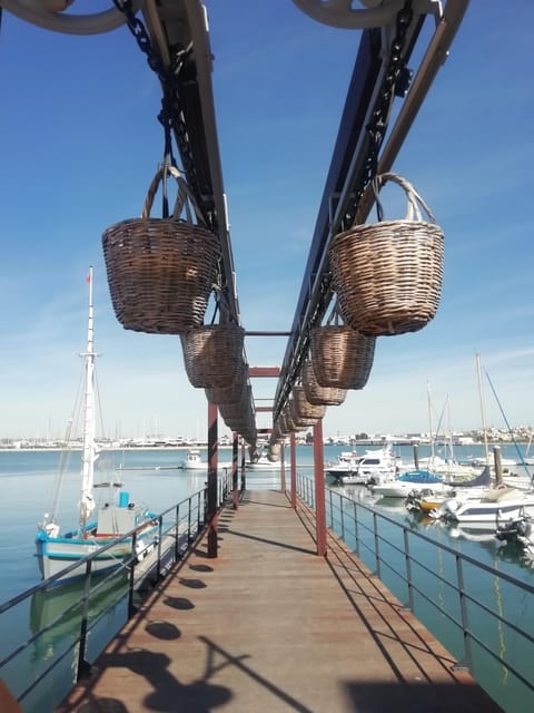 From Lagos: Tinned Sardine Route (Private) - The Portimão Museum: A Glimpse into the Industry’s Past