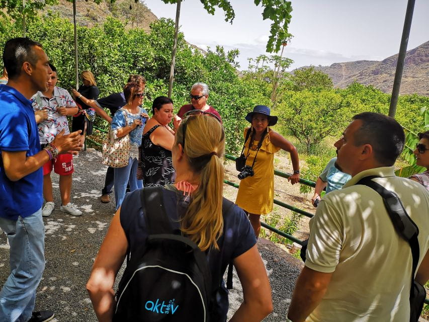 From Las Palmas: Full-Day Tour of the North - Itinerary Highlights