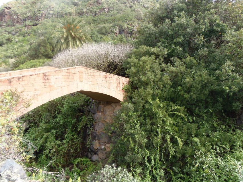 From Las Palmas: Full-Day Tour of the North - Pricing Information