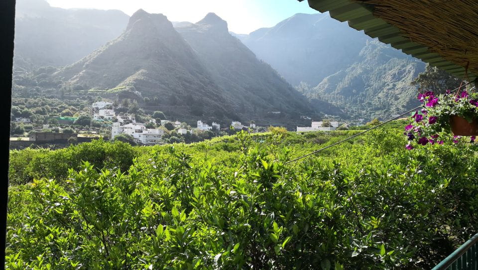 From Las Palmas: Full-Day Tour of the North - Customer Reviews