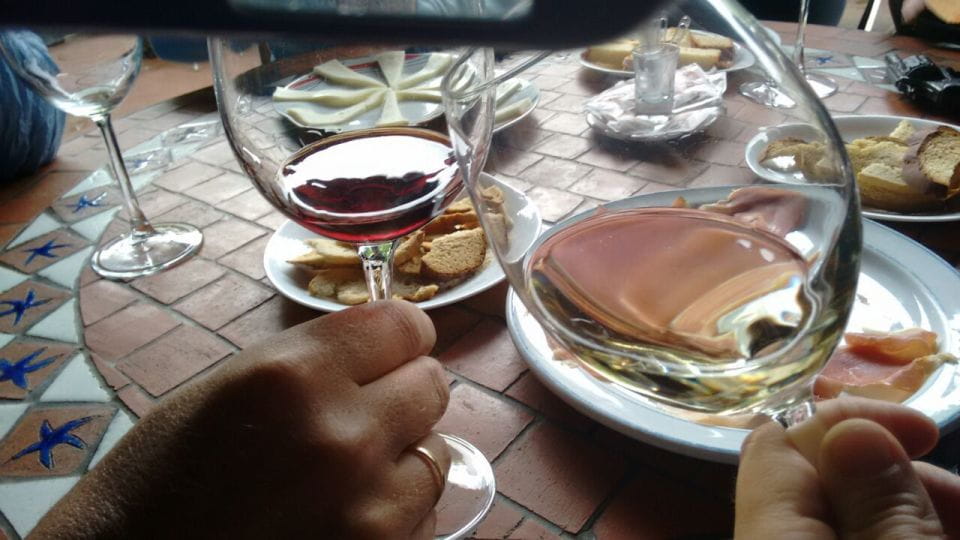 From Las Palmas: Full-Day Tour of the North - Transportation Details