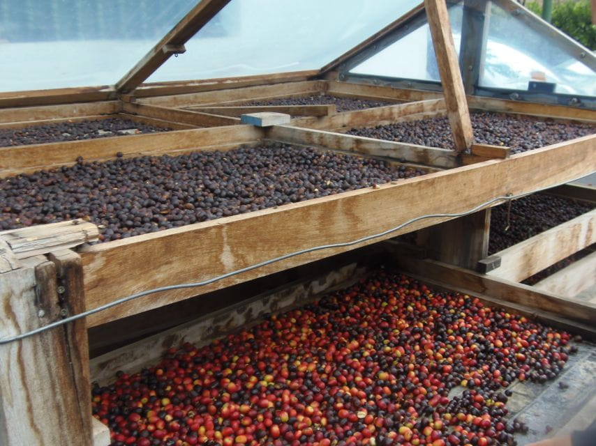 From Las Palmas: Full-Day Tour of the North - Booking and Cancellation Policy