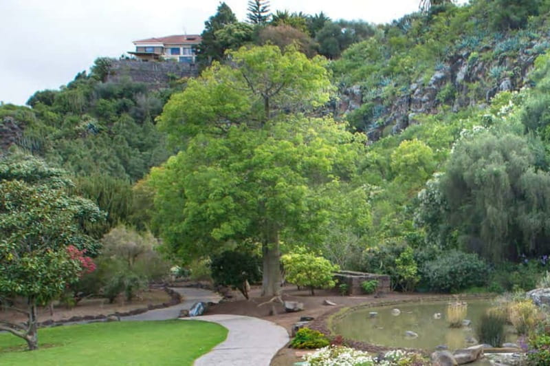 From Las Palmas: Half day tour Volcano Bandama & Vineyard - Key points / Takeaways