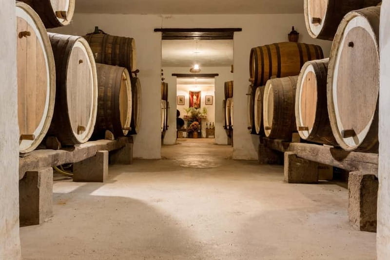 From Las Palmas: Half day tour Volcano Bandama & Vineyard - Discovering the Essence of Gran Canaria’s Volcano and Botanical Beauty