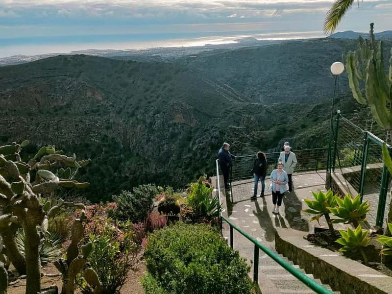 From Las Palmas: Half day tour Volcano Bandama & Vineyard - Price and Value