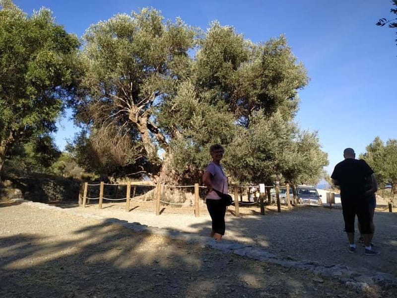 From Lasithi: Richtis Gorge - Final Thoughts: Who Should Consider This Tour?