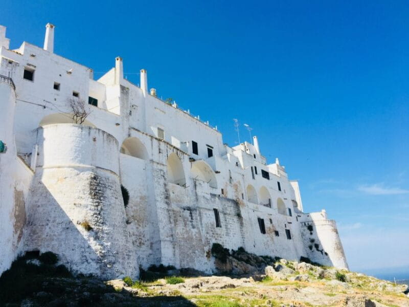 From Lecce: Ostuni, Alberobello, Polignano Tour - Who Will Love This Tour?