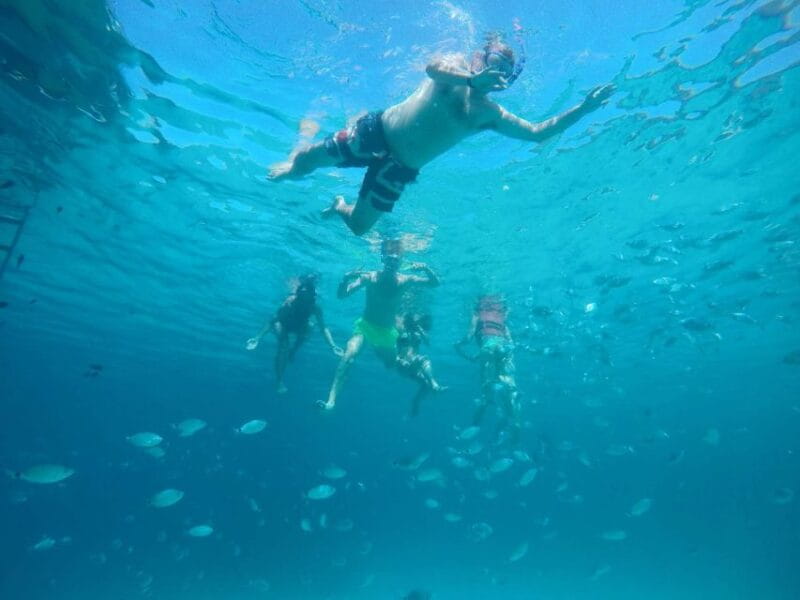 From Lefkimmi: Blue Lagoon and Syvota Village Cruise - Logistics, Price, and Overall Value