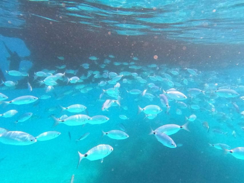 From Lefkimmi: Boat Trip to Sivota & Blue Lagoon - Additional Swim or Coffee